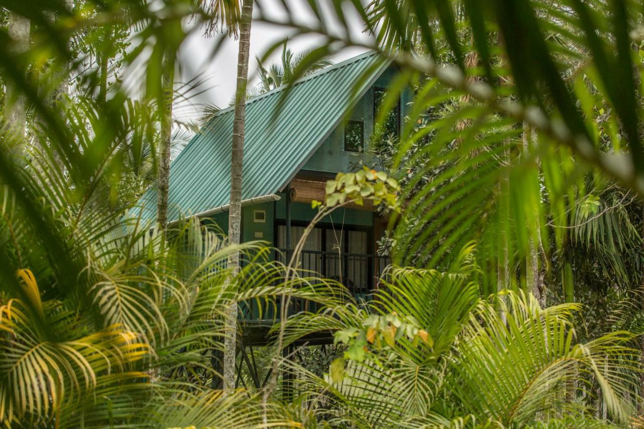 Kedara Village Sultan Bathery Exterior foto